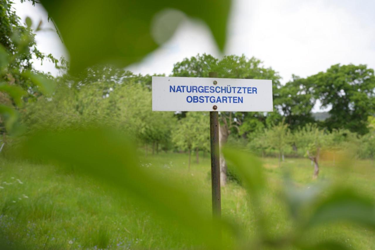 Schloss Kaarz Mit Park Buitenkant foto